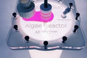 Pacific Sun Algae reactor
