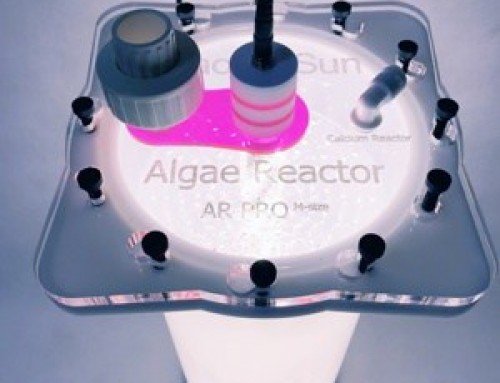 Algae Reactor, un filtro biológico y algo más